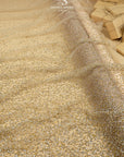 Stardust - Champagne Ombre Crystal Tulle with Gradient Sparkle and Rhinestones on Mesh Luxury Bridal Fabric by the Yard